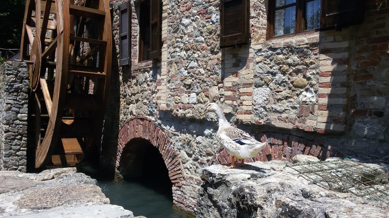 Agriturismo Il Mulino Delle Pile Chiusdino Exterior foto