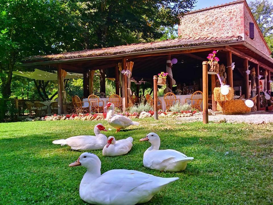 Agriturismo Il Mulino Delle Pile Chiusdino Exterior foto